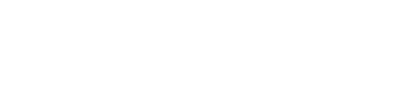 Int Safety